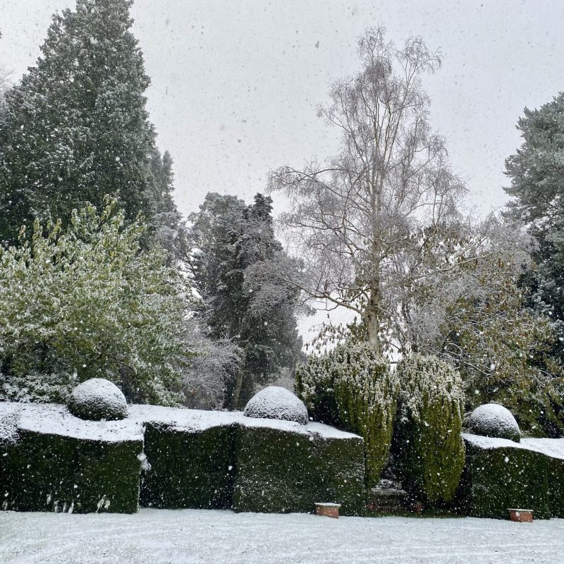 SCENE snowing on croquet lawn